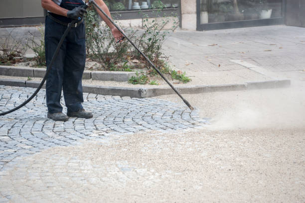 Trusted Altavista, VA Pressure Washing Services Experts